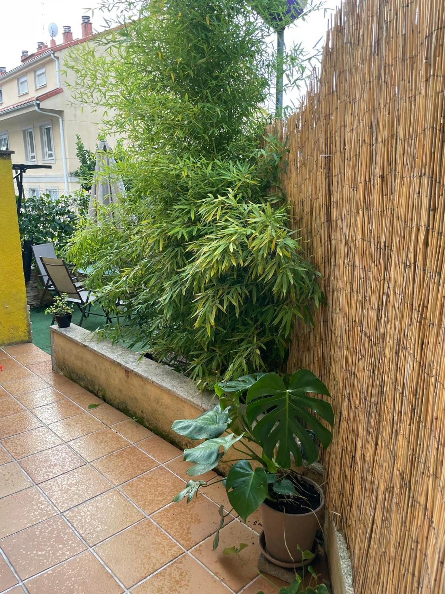 Appartement Ecobambu Con Terraza Y Parking En Pontevedra à San Salvador de Poio Extérieur photo